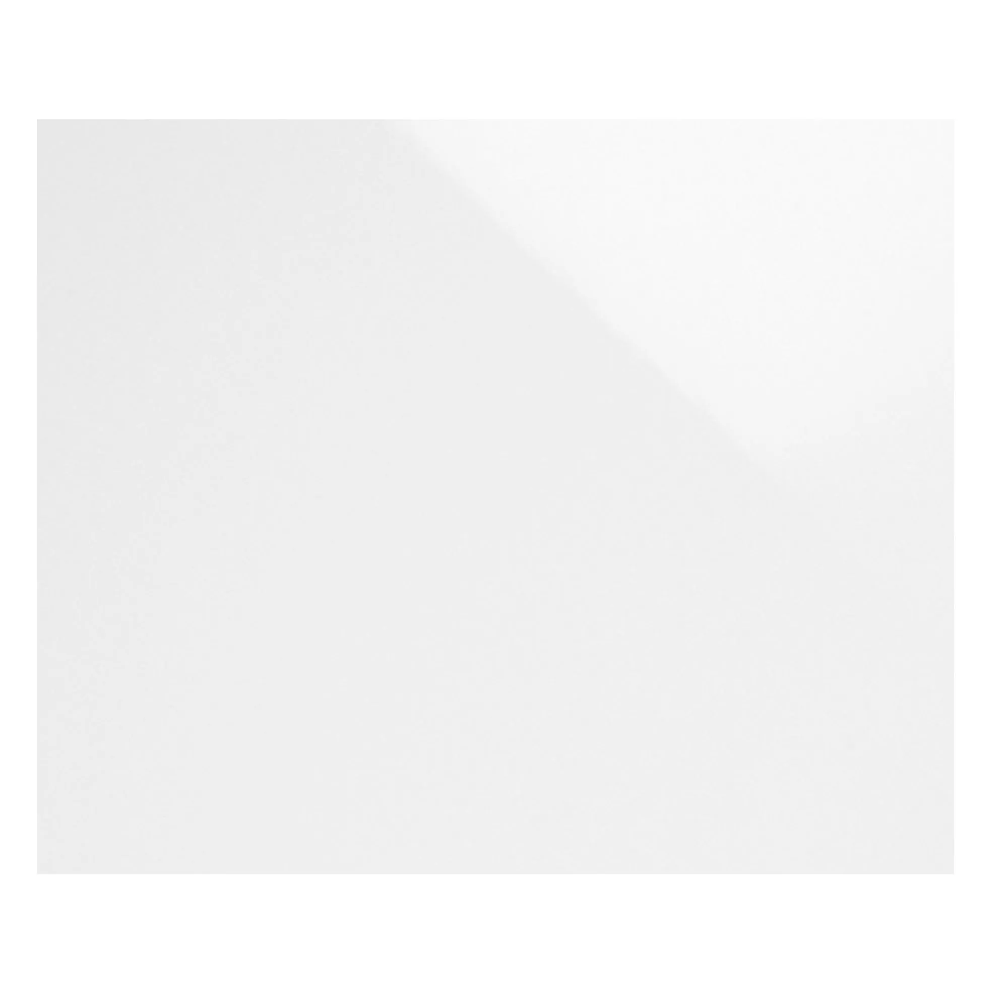 Płytki Ścienne Fenway Biały Błyszczący 20x25cm
