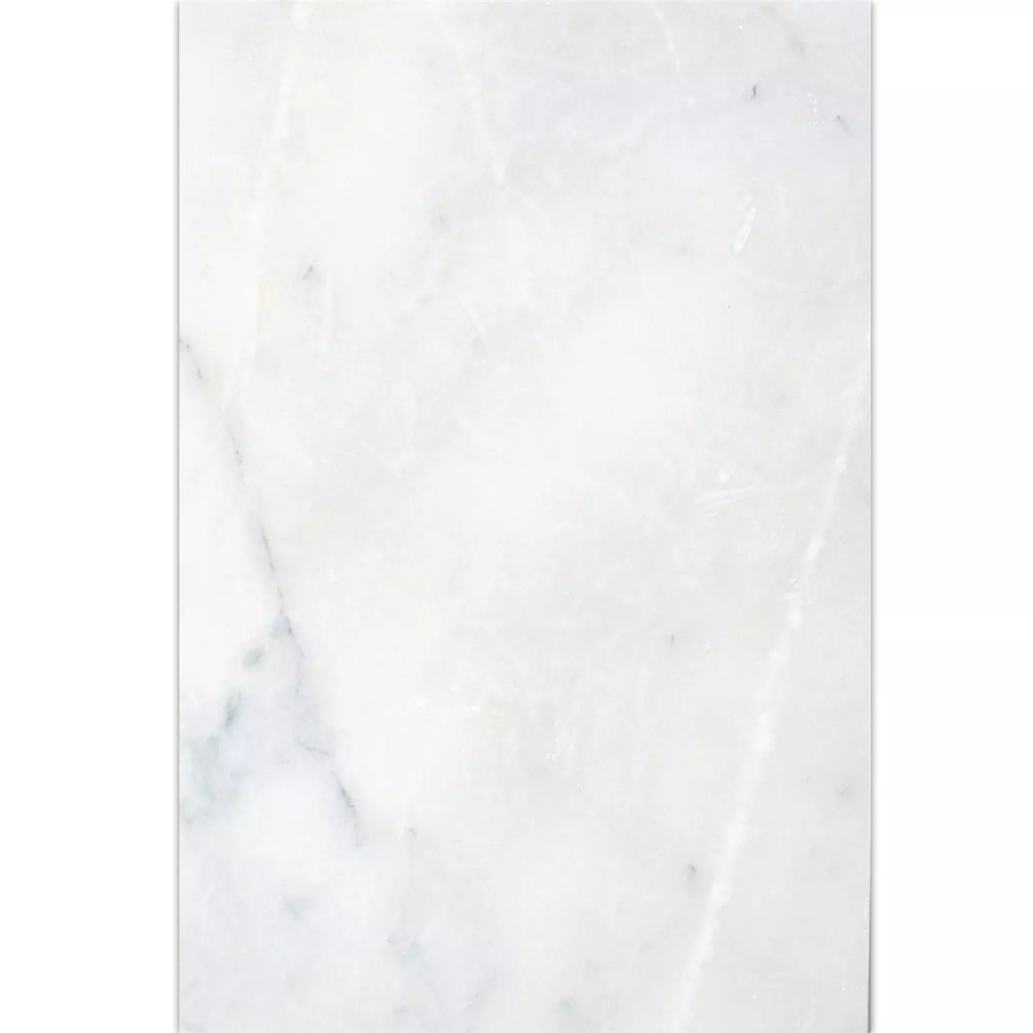 Plytka Z Naturalnego Kamienia Marmur Treviso Biały 40,6x61cm