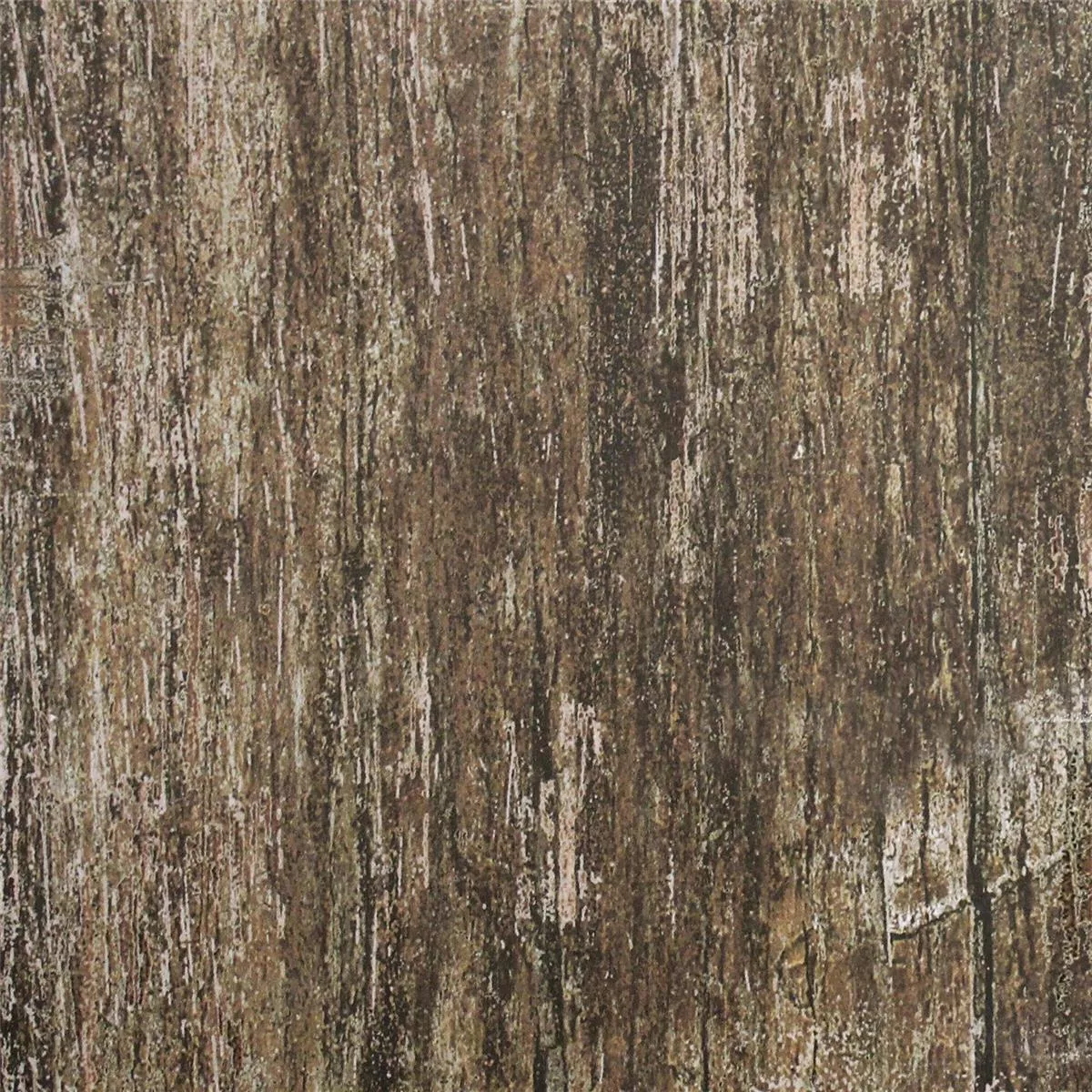 Płytki Podłogowe Vintage Drzewo R10 Brązowy 18,5x18,5cm