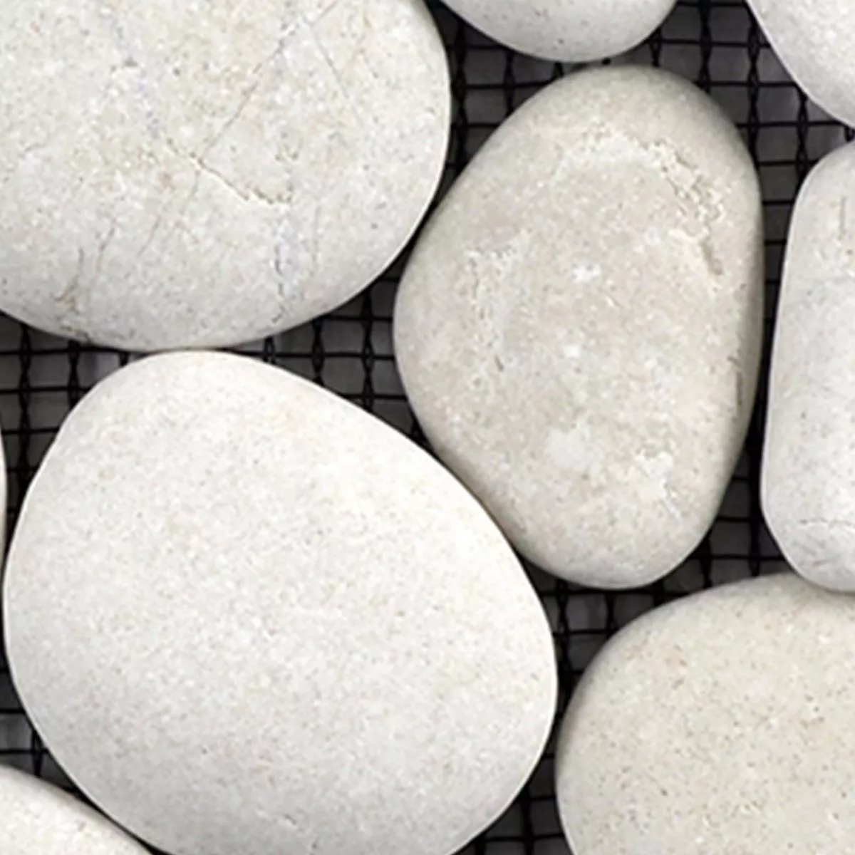 Próbka Mozaika Kamień Otoczak Naturalny Doha Biały