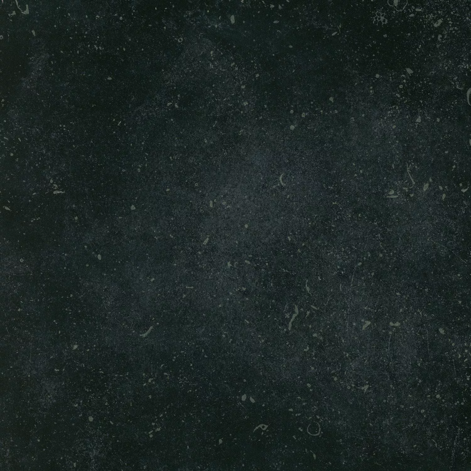 Próbka Płytki Podłogowe Wilhelm Bluestone Wygląd Wapienia Czarny