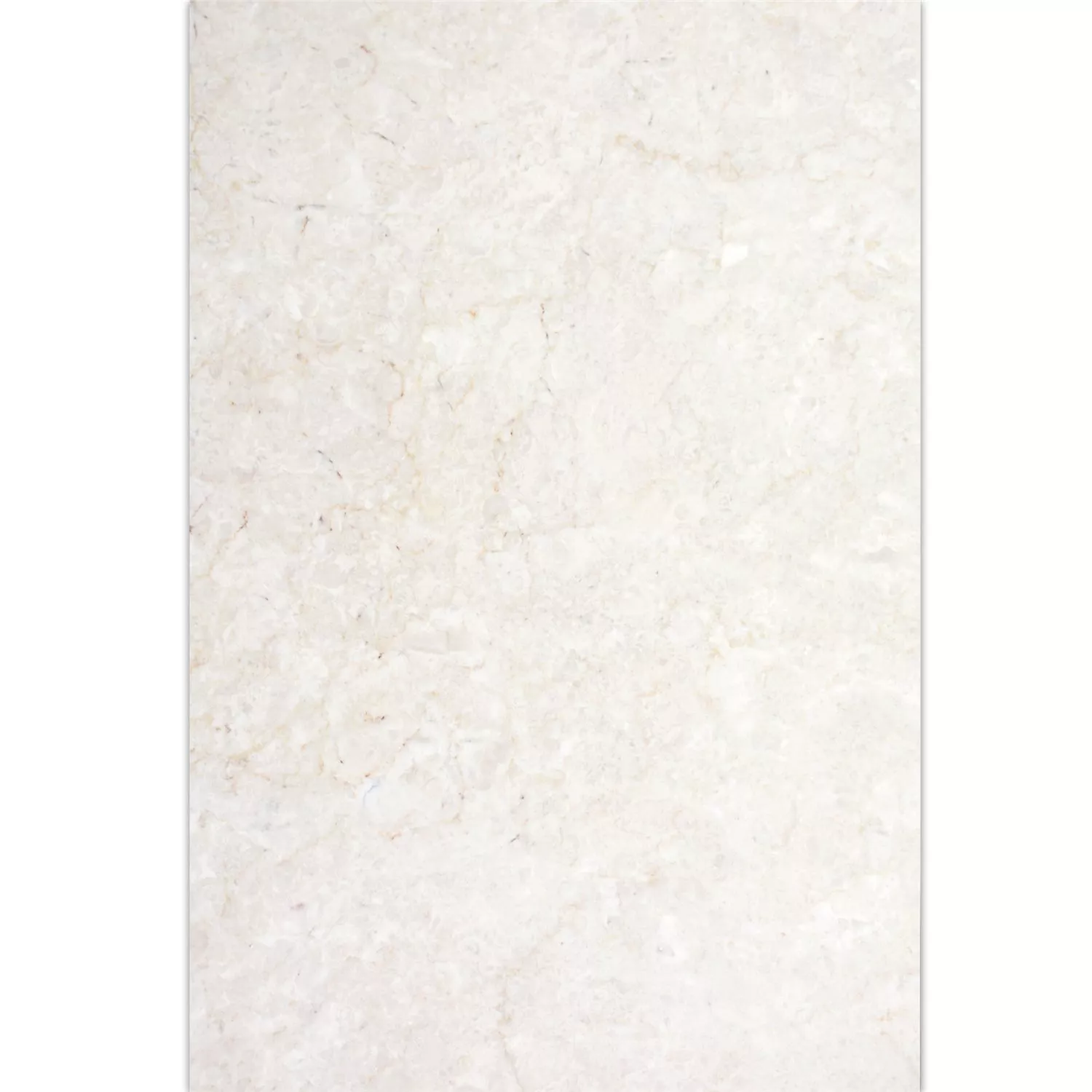 Plytka Z Naturalnego Kamienia Marmur Afyon Beżowy 40,6x61cm
