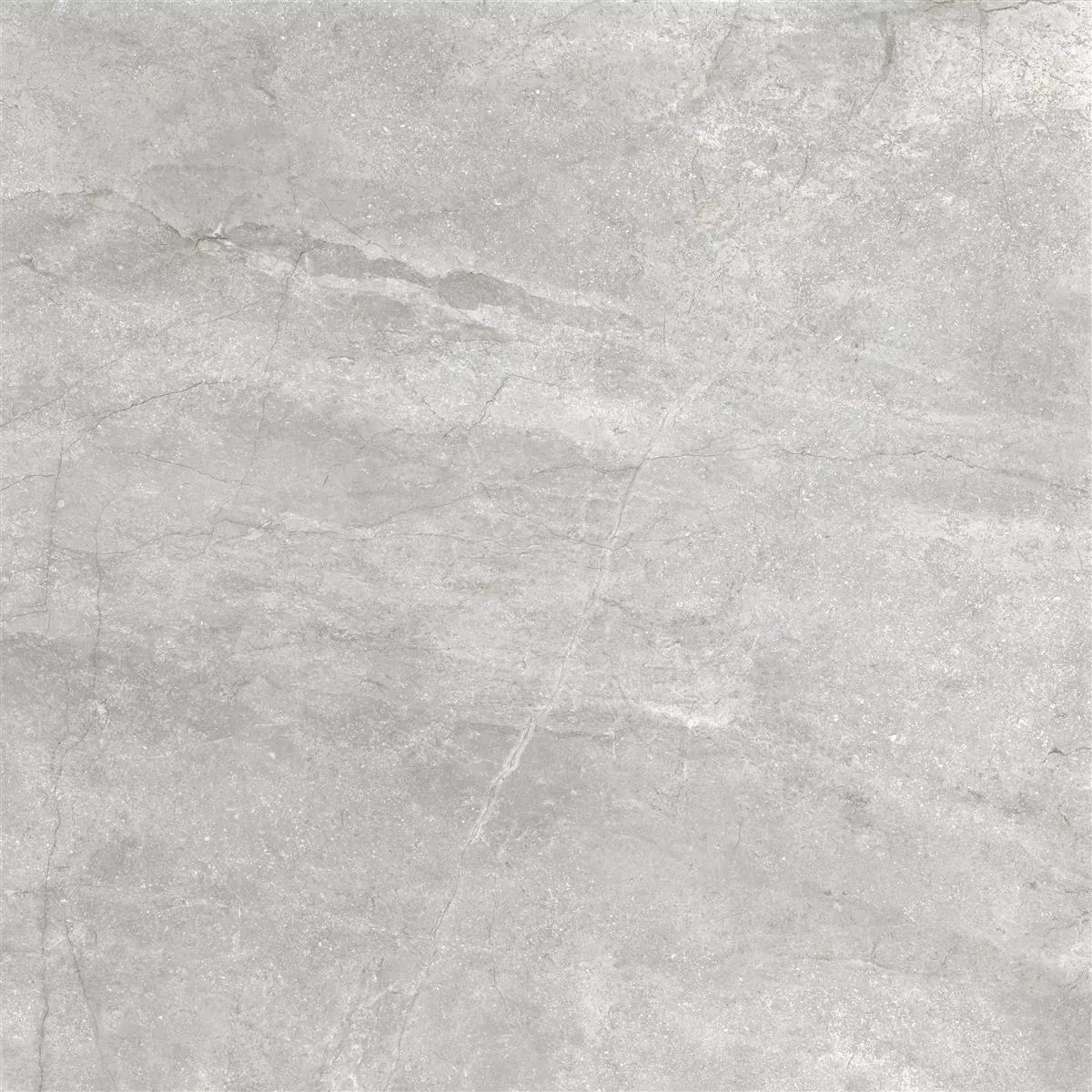 Płytki Podłogowe Pangea Marmurowa Optyka Matowy Srebrny 60x60cm