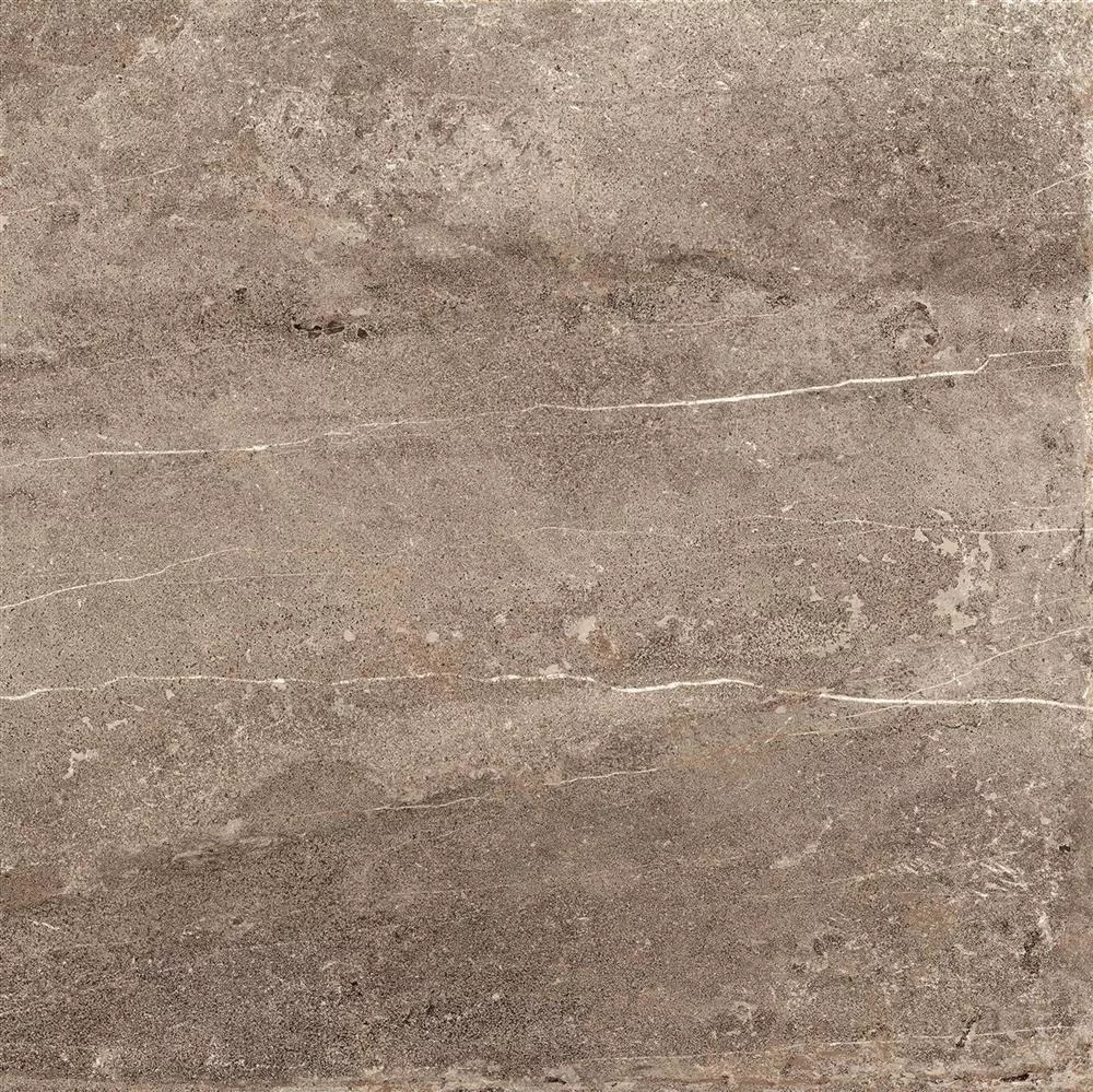 Płytki Podłogowe Detmold Kamień Naturalny Optyka 60x60cm Brązowy