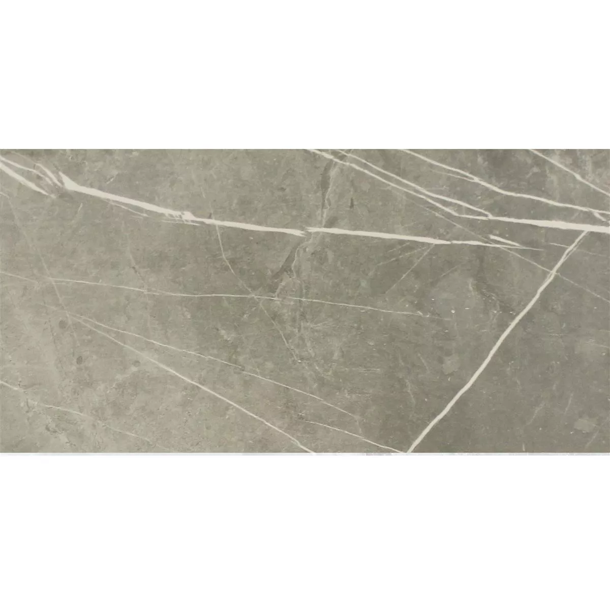 Płytki Podłogowe Astara Kamień Naturalny Optyka Polerowany Grey 30x60cm
