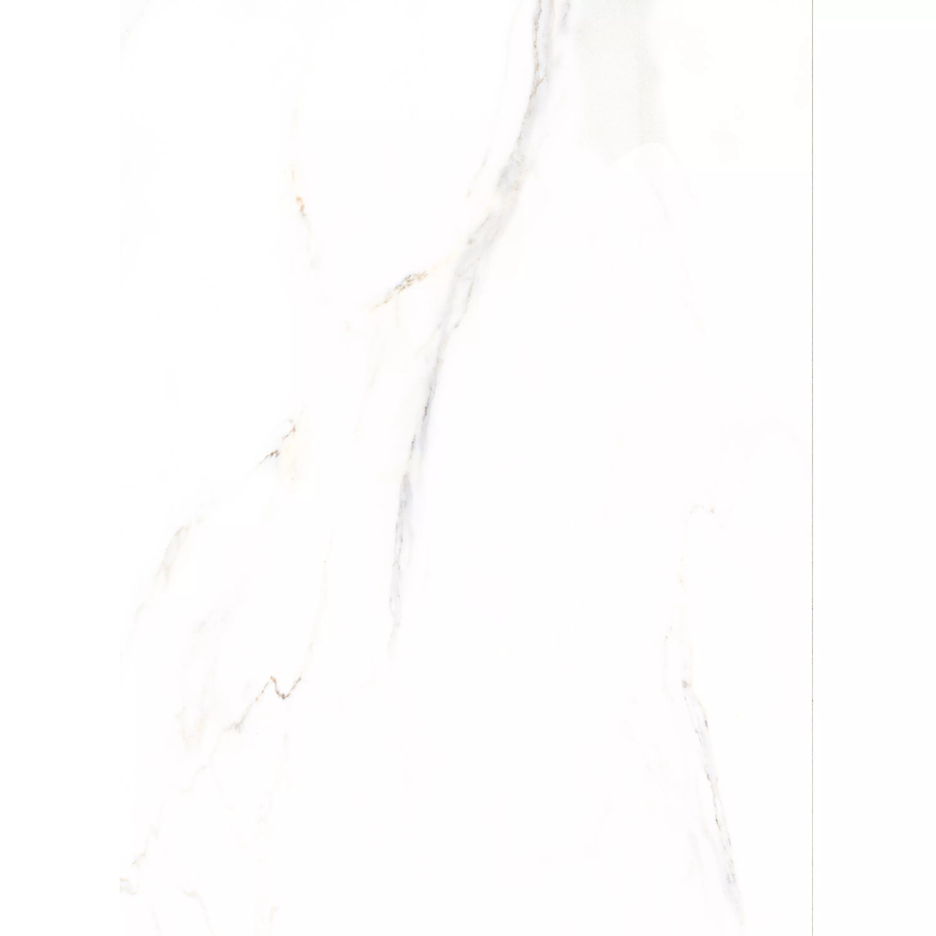 Płytki Podłogowe Rice Marmurowa Optyka Calacatta Polerowany 58x118cm