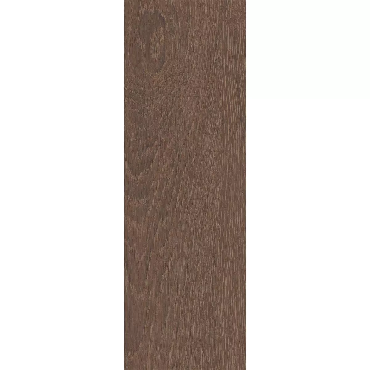 Red Oak