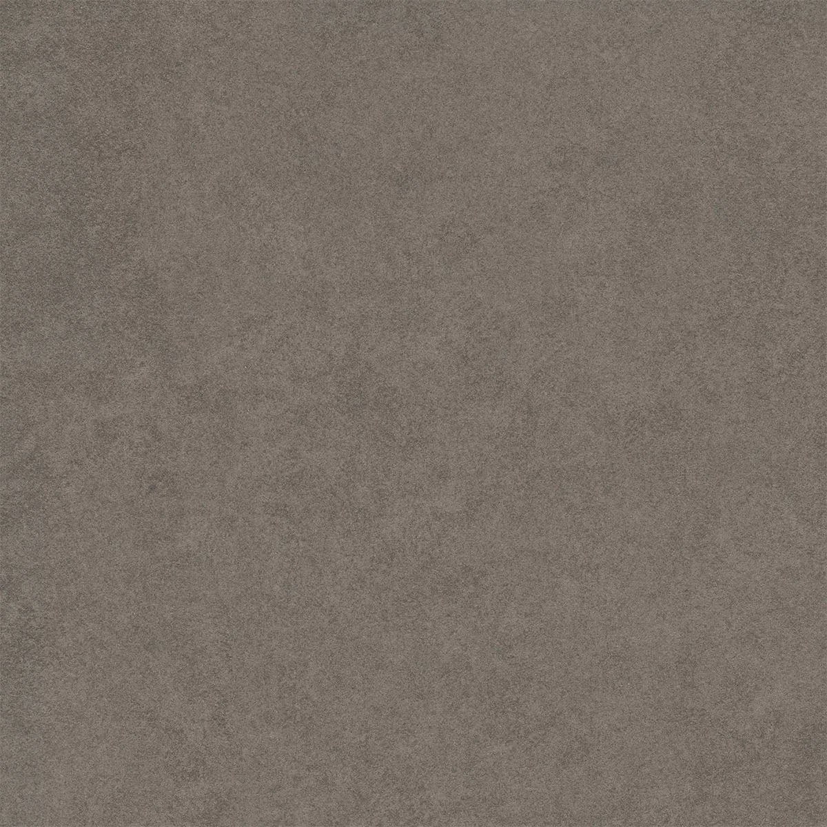 Kolossal Ciemnoszary 60x60 cm