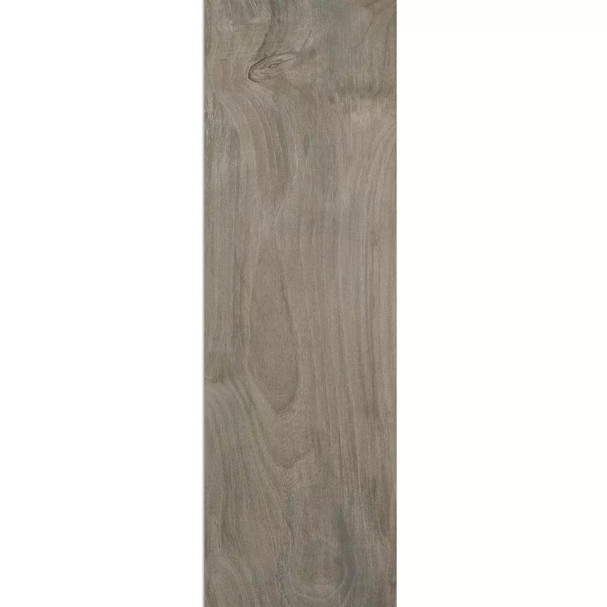 Próbka Wygląd Drewna Płytki Podłogowe Carmenta Szary 20x120cm