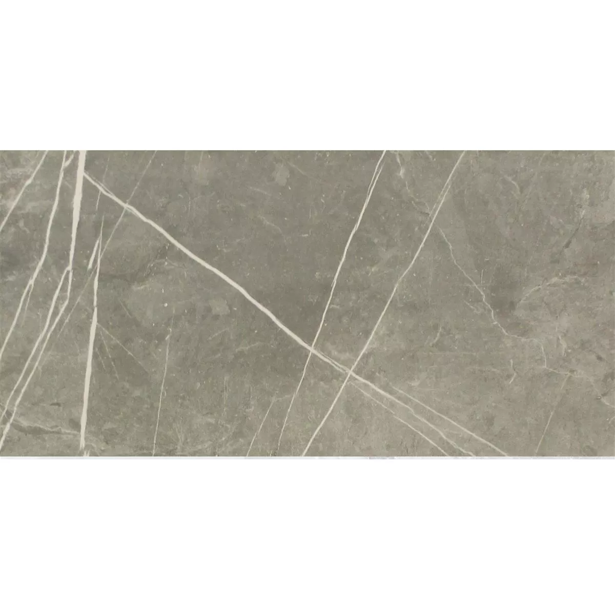 Płytki Podłogowe Astara Kamień Naturalny Optyka Polerowany Grey 30x60cm