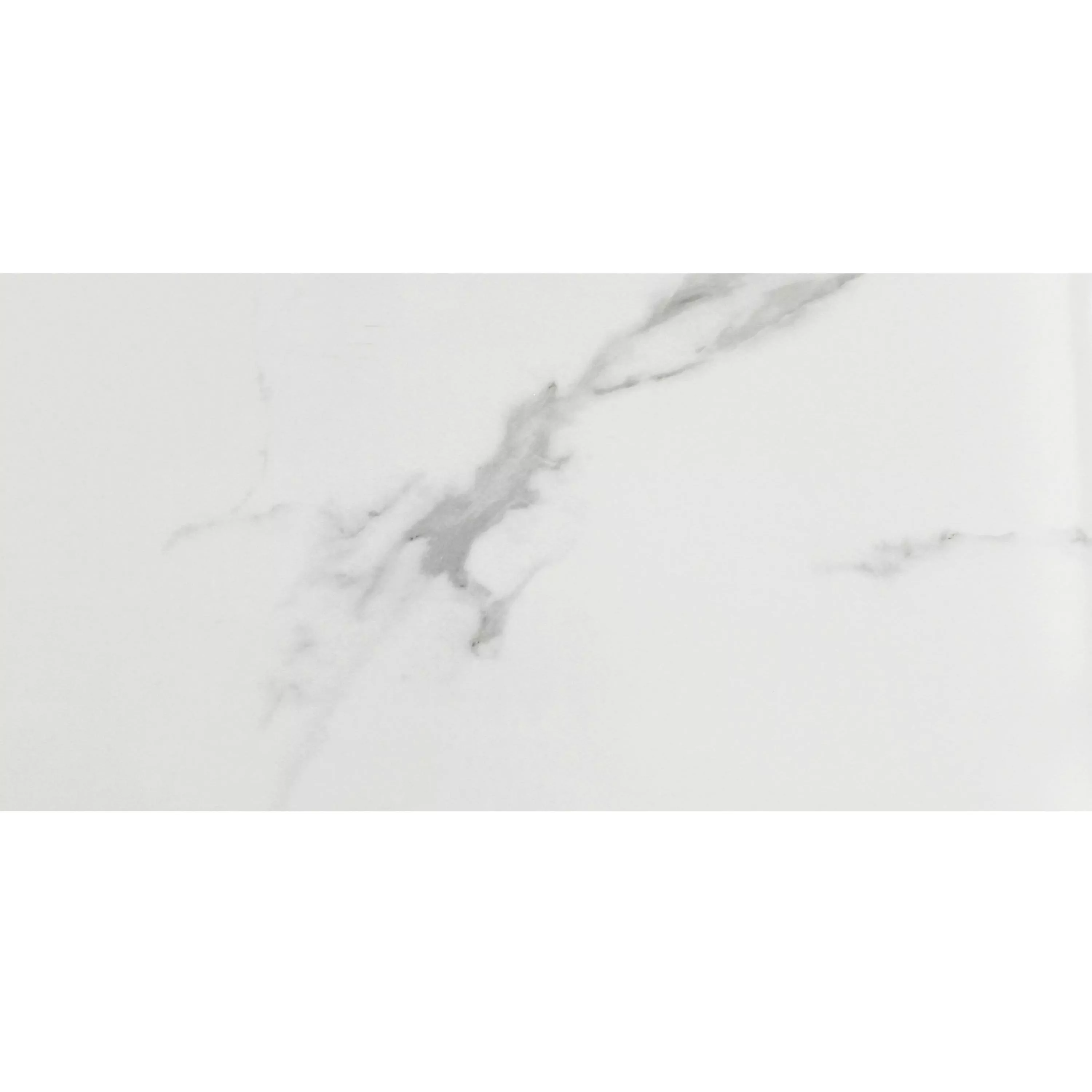 Próbka Płytki Podłogowe Aronia Carrara Polerowany 30x60cm