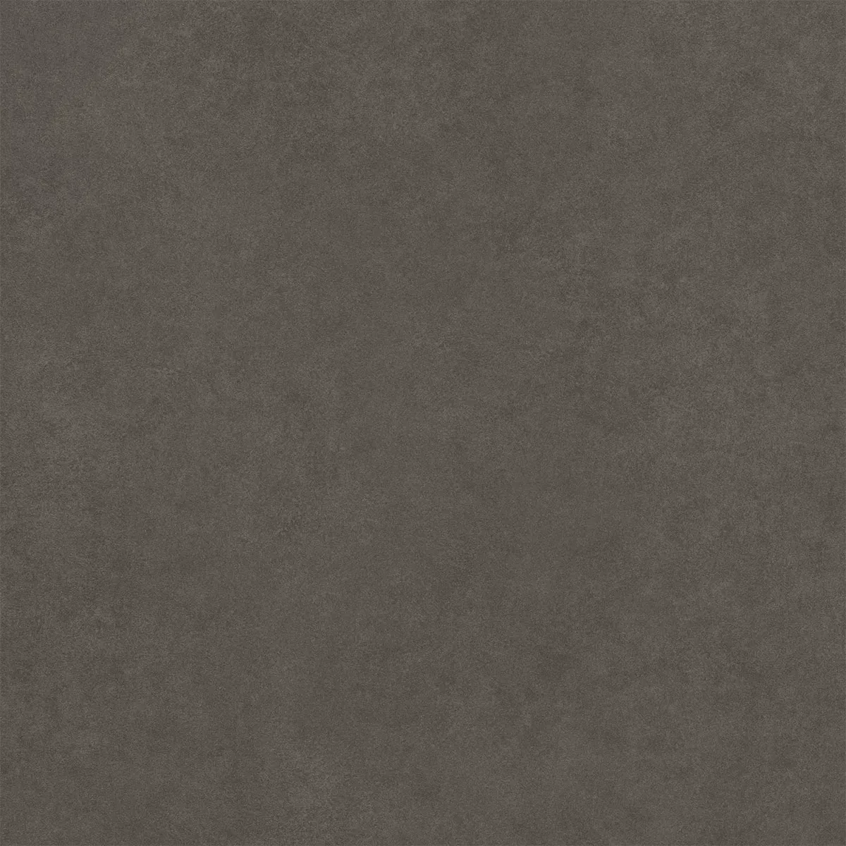 Kolossal Antracyt 60x60 cm