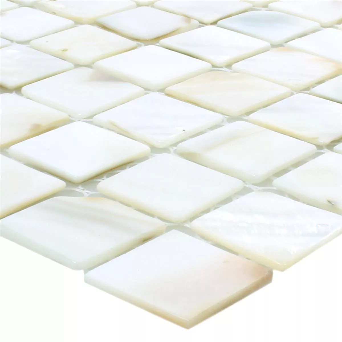 Mozaika Muszelka Kordon Biały
