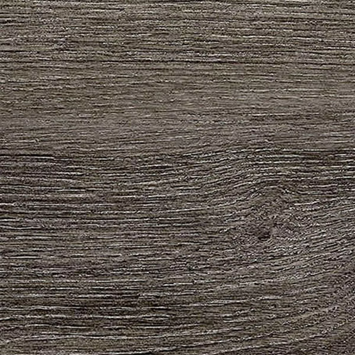 Płytki Podłogowe Regina Wygląd Drewna 20x120cm Smoke