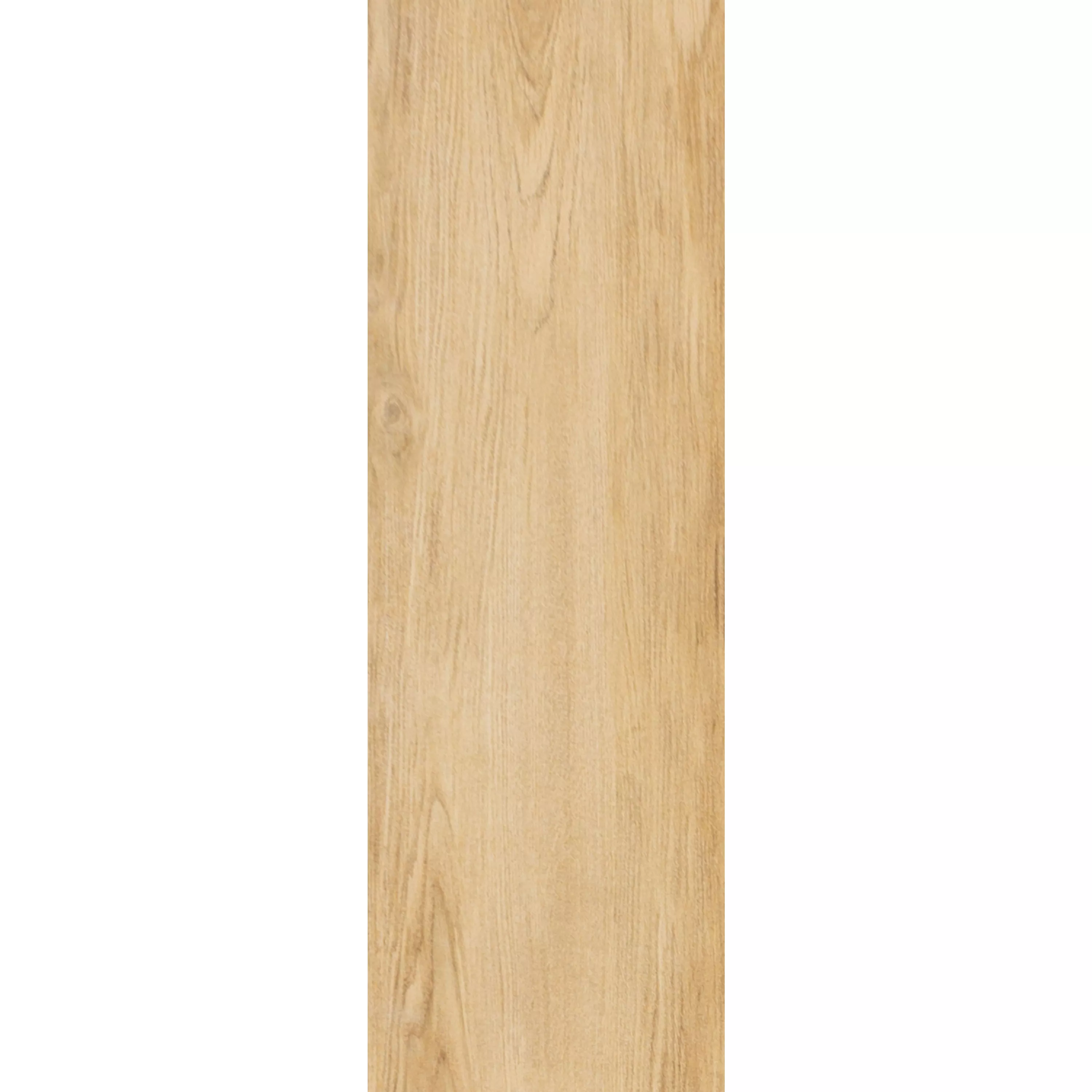 Płytki Podłogowe Wygląd Drewna Darlington Beżowy 20x120cm