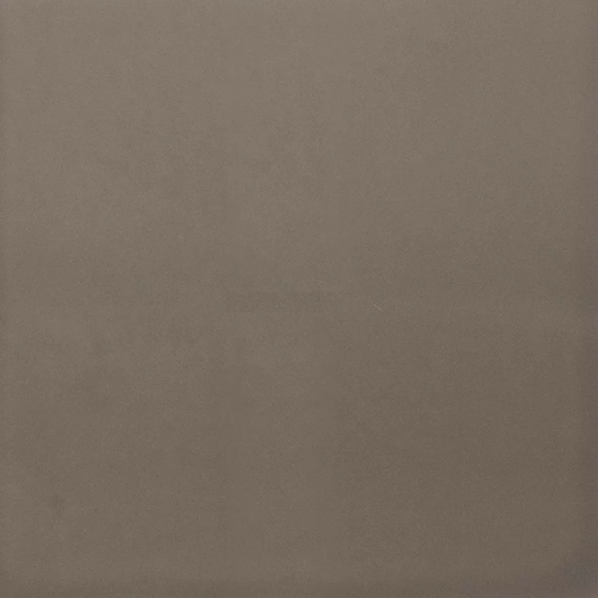 Gres Płytki Ornamenti Płytka Podstawowa Szary Gres Płytki Ornamenti Płytka Podstawowa Szary