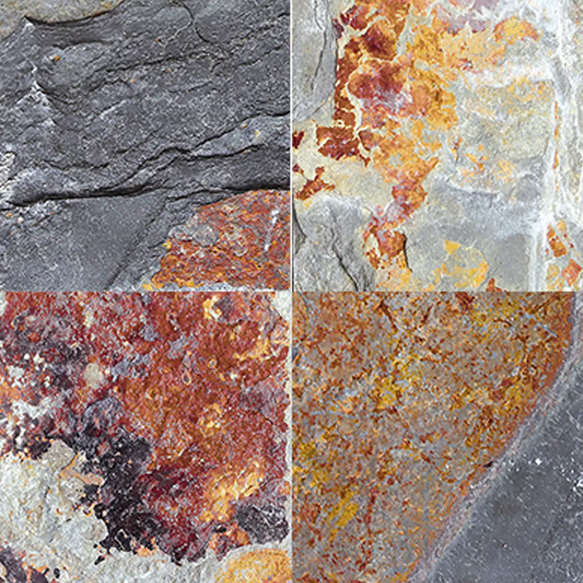 Gres Basenowa Płytki Muskat 22,5x,22,5cm Gres Basenowa Płytki Muskat 22,5x,22,5cm