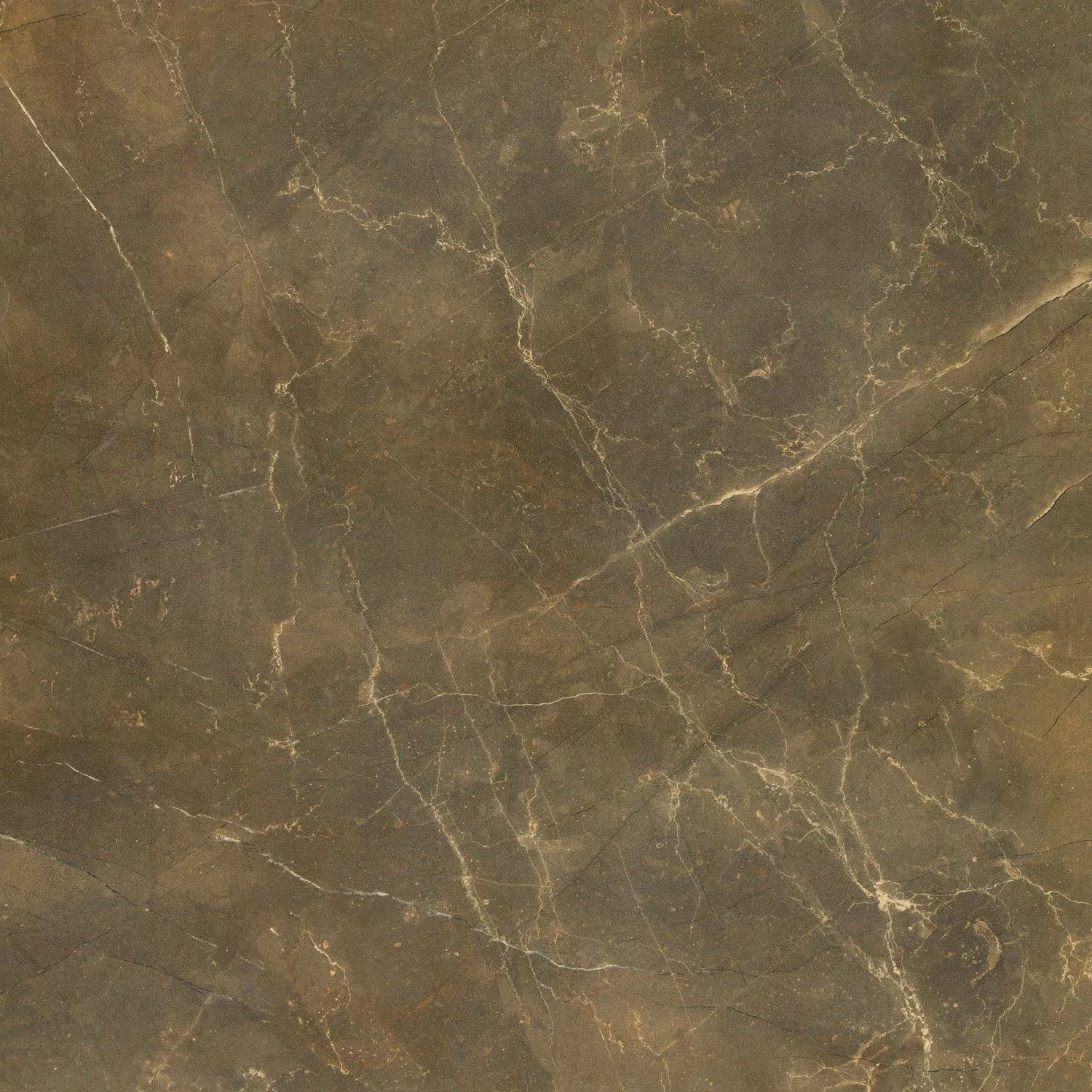 Płytki Podłogowe Marmurowa Optyka Imperial Khaki 80x80cm Płytki Podłogowe Marmurowa Optyka Imperial Khaki 80x80cm