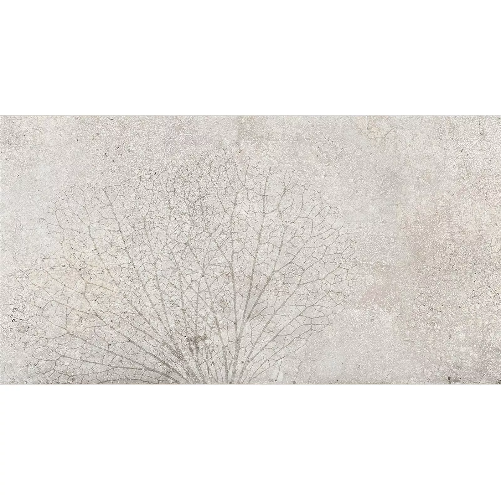 Płytki Ścienne Attila Szary Rektyfikowany Dekor 1 30x60cm Płytki Ścienne Attila Szary Rektyfikowany Dekor 1 30x60cm