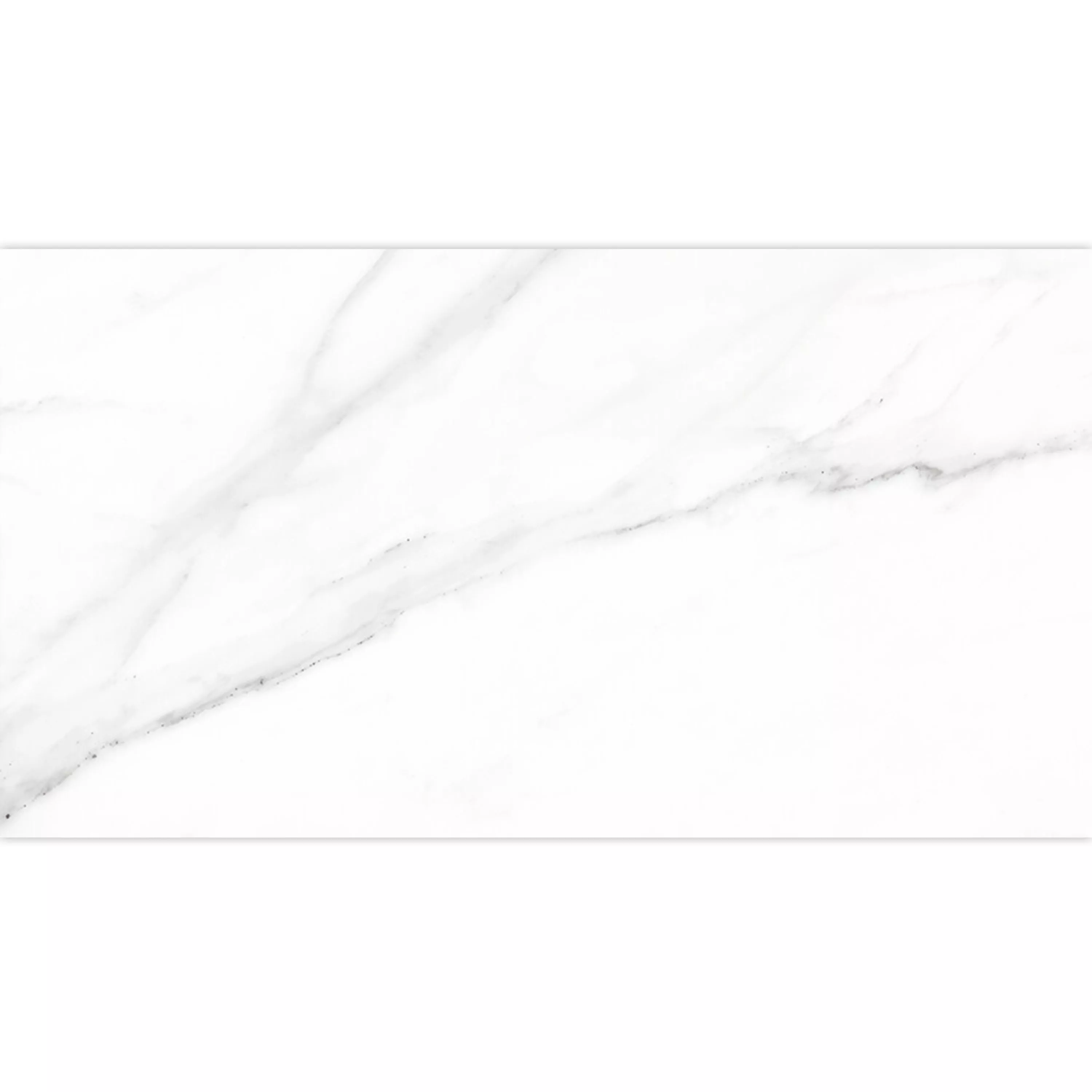 Płytki Podłogowe Arcadia Marmurowa Optyka Polerowany Biały 30x60cm