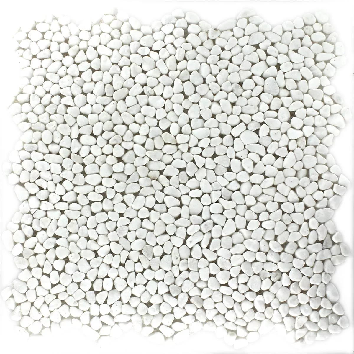 Próbka Mozaika Kamień Otoczak Micro Biały