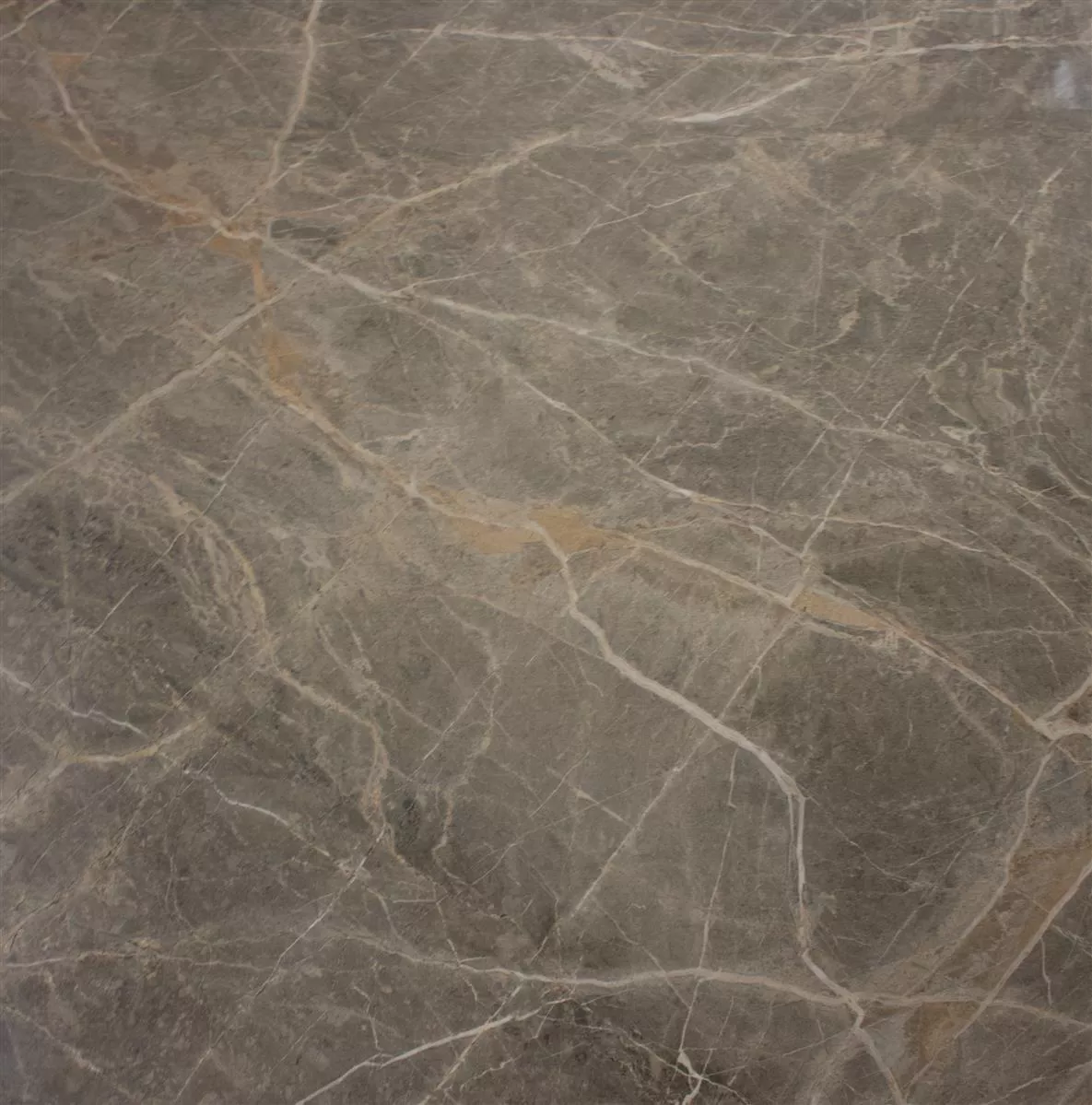 Płytki Podłogowe Zeven Szary Beżowy Złoto Łupek Optyka 60x60cm Płytki Podłogowe Zeven Szary Beżowy Złoto Łupek Optyka 60x60cm