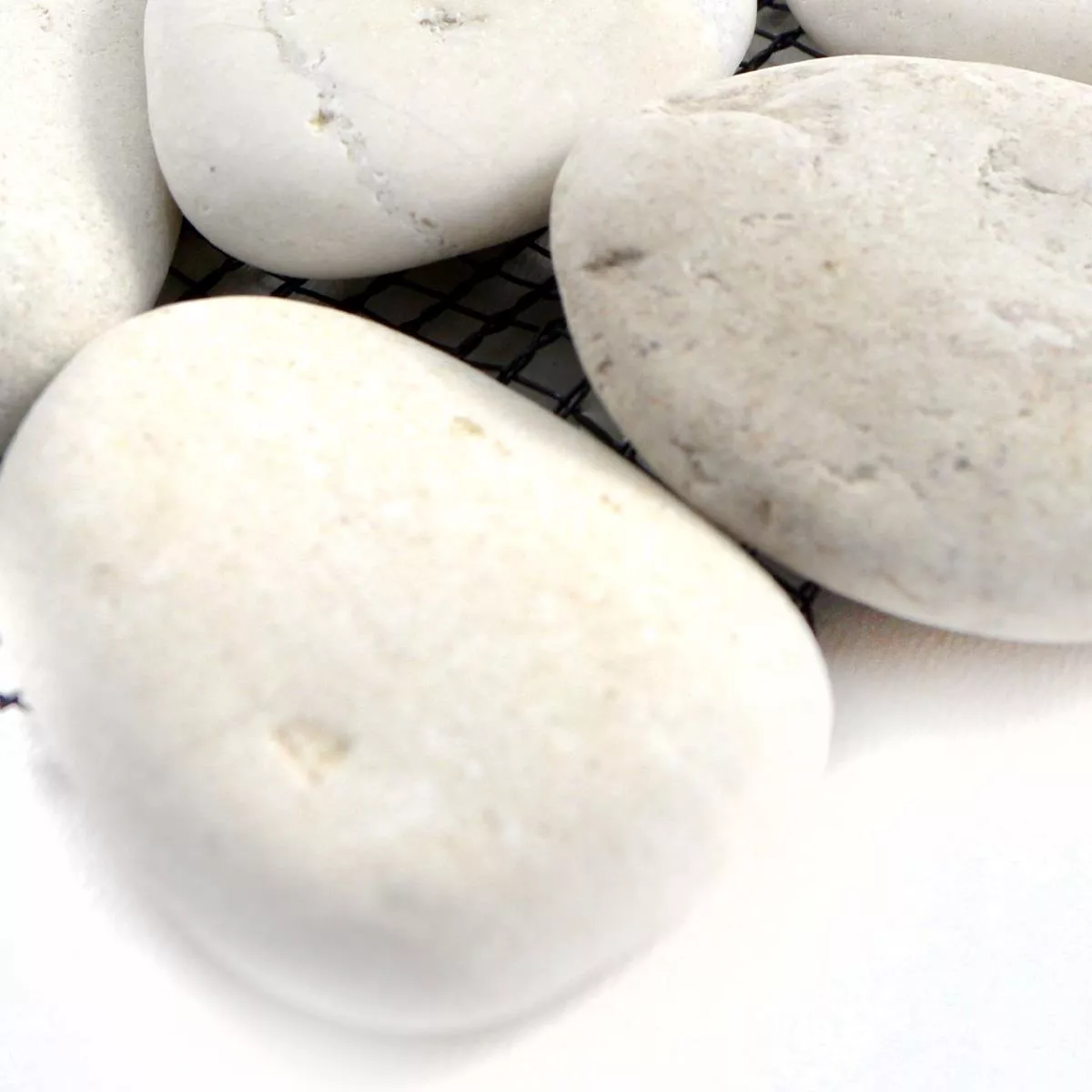 Próbka Mozaika Kamień Otoczak Naturalny Doha Biały