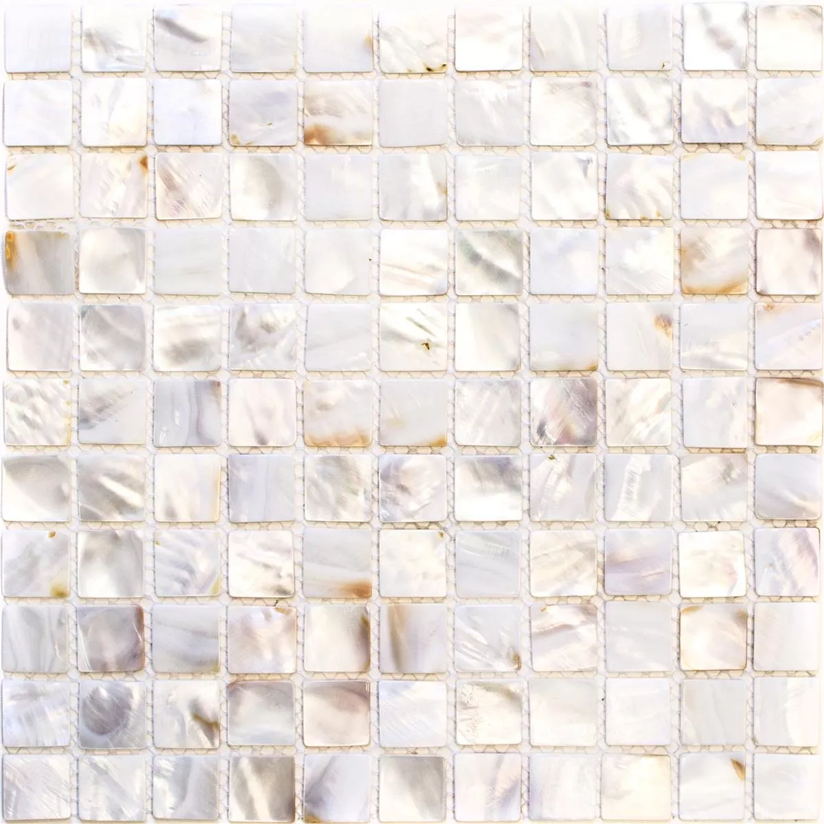 Próbka Mozaika Masa Perłowa Xenia Biały