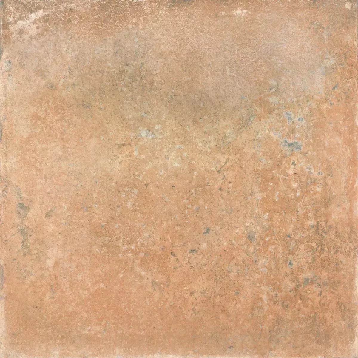 Queens Terakota Brązowy 25x25 cm