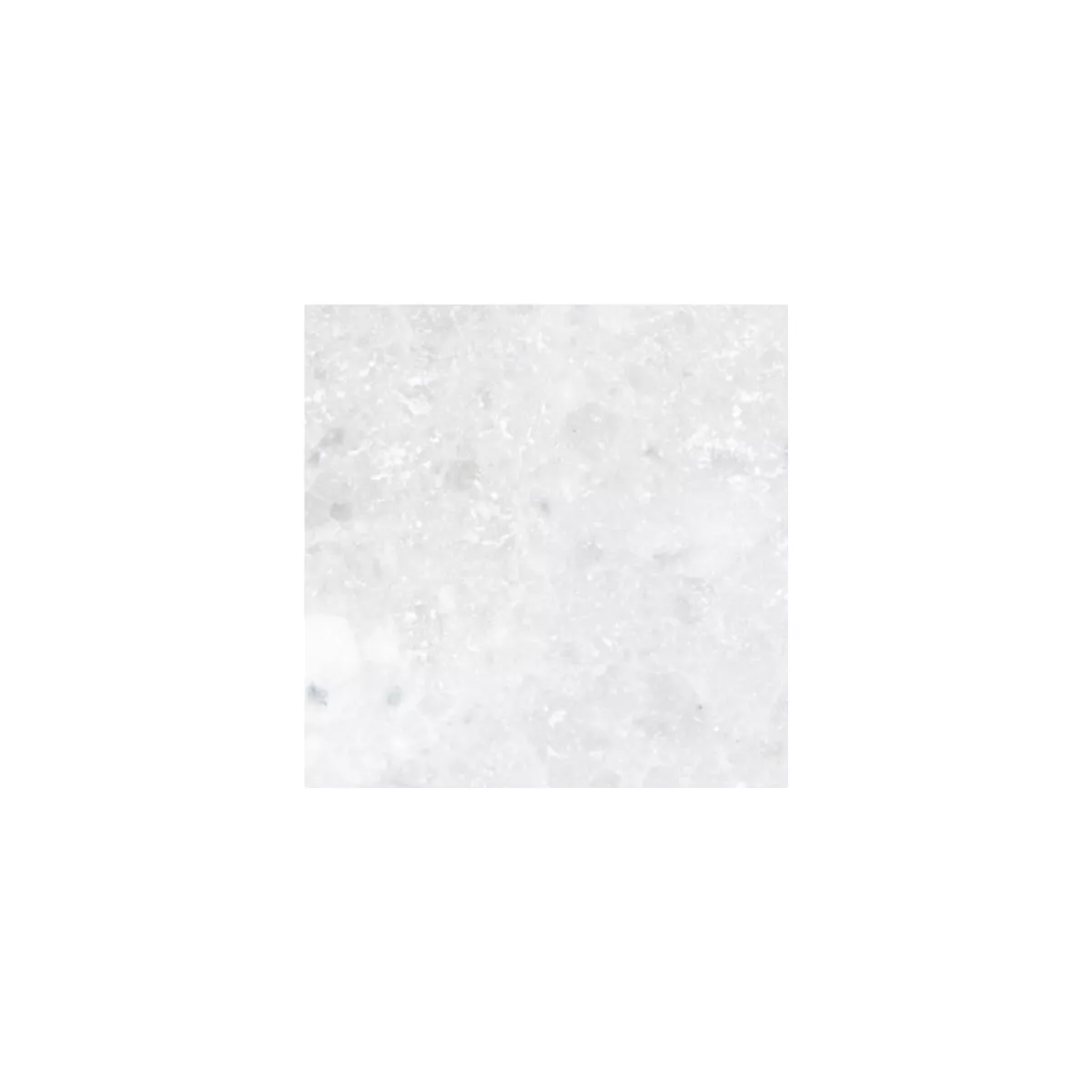 Próbka Plytka Z Naturalnego Kamienia Marmur Treviso Biały 40,6x61cm