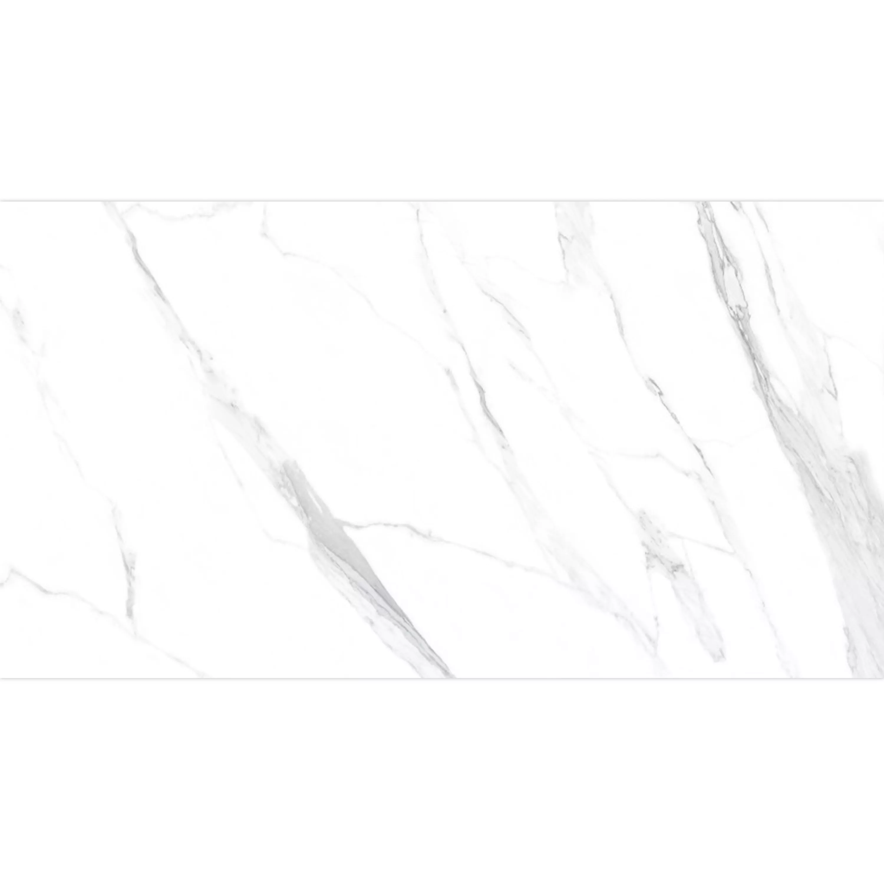 Próbka Płytki Podłogowe Louisburg Statuario Biały Matowy Rektyfikowany 30x60cm