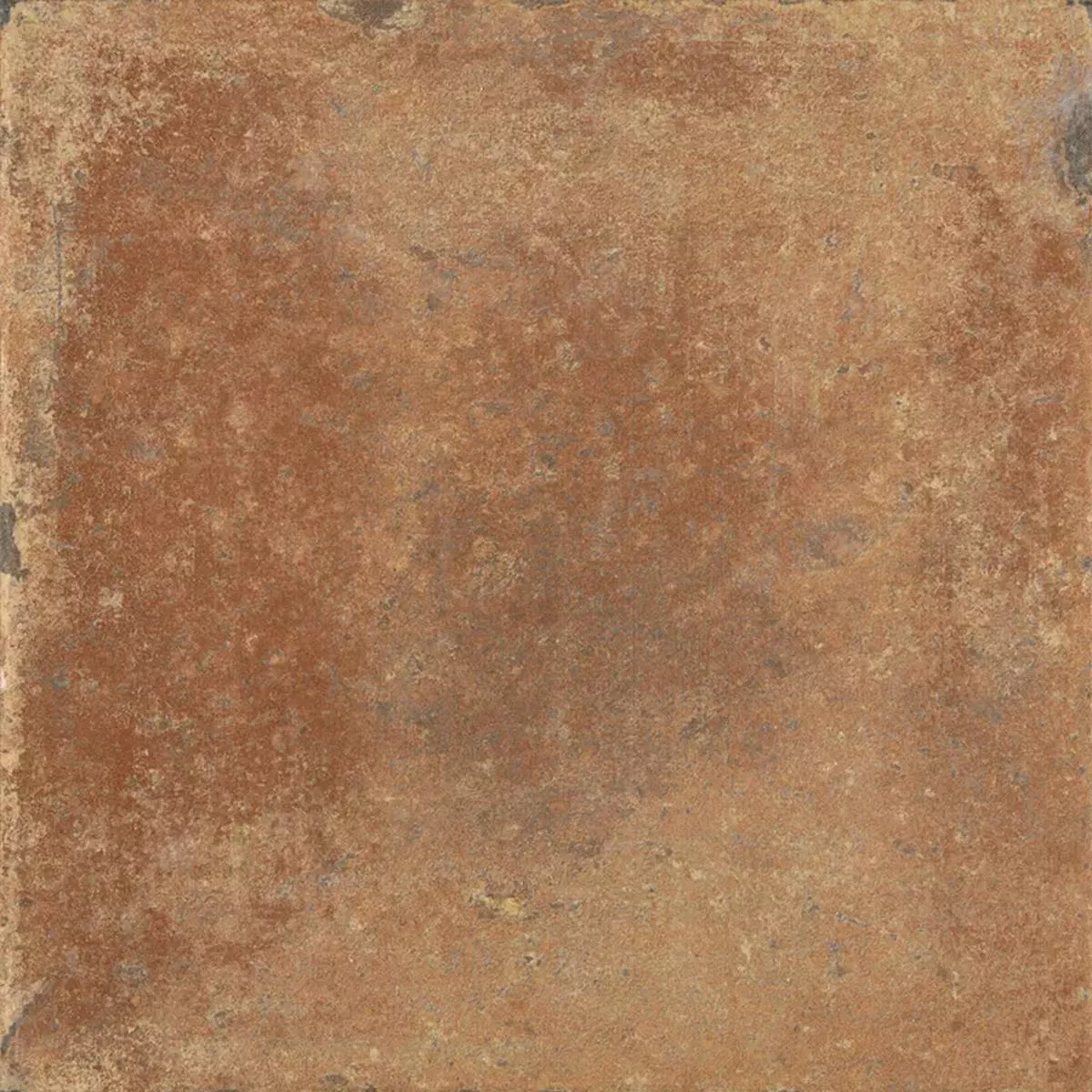 Queens Terakota Ciemnobrązowy 25x25 cm