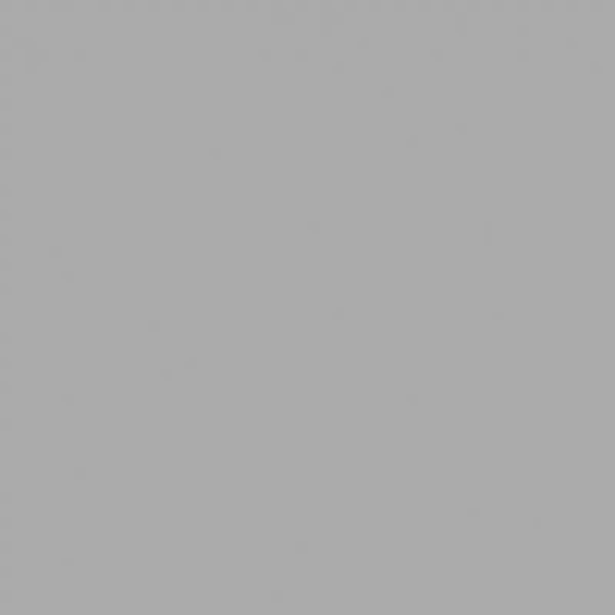 Płytki Podłogowe Loire Szary Strukturalny 25x25 cm